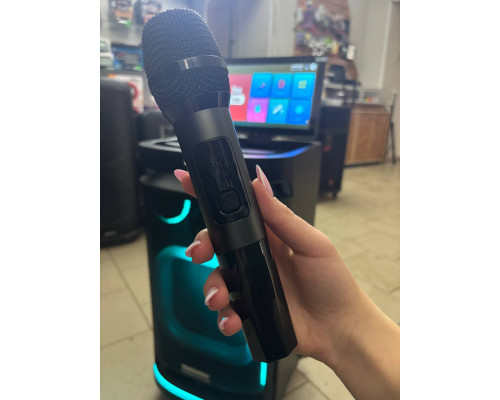 Потужна караоке система з екраном 12'' Temeisheng 800P, 300W