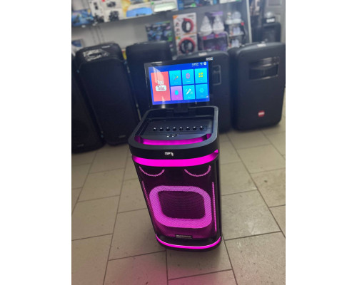Потужна караоке система з екраном 12'' Temeisheng 800P, 300W