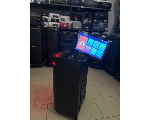 Потужна караоке система з екраном 12'' Temeisheng 800P, 300W