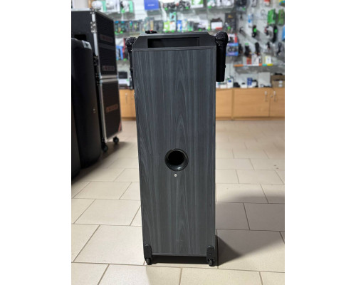 Портативна колонка Sing-e ZQS8231, 60W