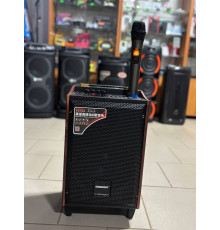 Портативна колонка Temeisheng А8-24, 60W