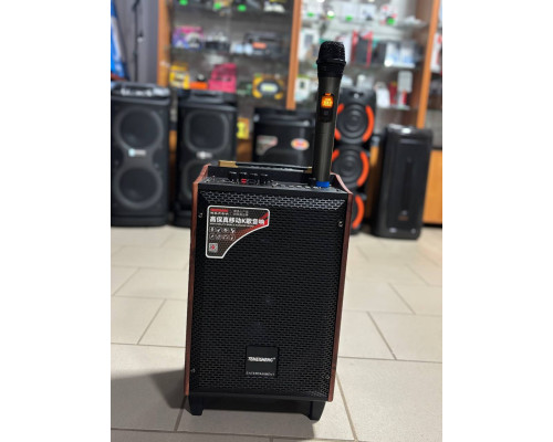 Портативна колонка Temeisheng А8-24, 60W