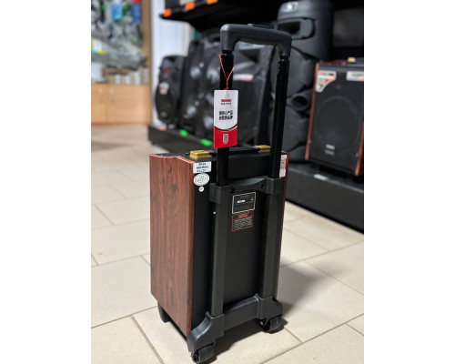Портативна колонка Temeisheng А8-24, 60W