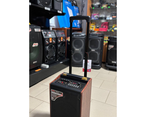 Портативна колонка Temeisheng А8-24, 60W