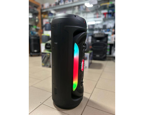 Портативна музична колонка Sing-e ZQS8259 з бездротовим мікрофоном, 50W