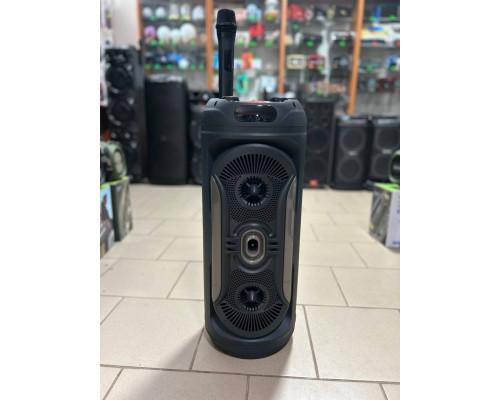 Портативна музична колонка Sing-e ZQS8259 з бездротовим мікрофоном, 50W