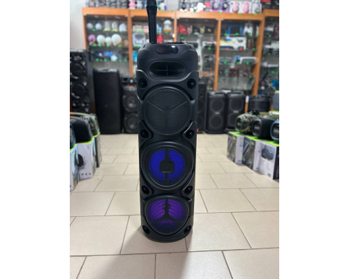 Портативна музична колонка Sing-e ZQS8308 з бездротовим мікрофоном, 60W