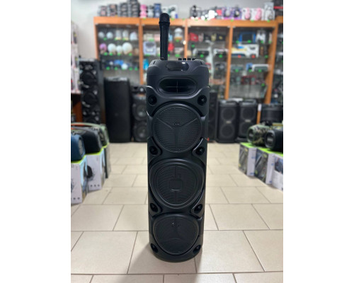 Портативна музична колонка Sing-e ZQS8308 з бездротовим мікрофоном, 60W