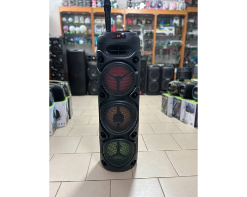Портативна музична колонка Sing-e ZQS8308 з бездротовим мікрофоном, 60W