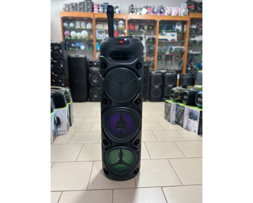 Портативна музична колонка Sing-e ZQS8308 з бездротовим мікрофоном, 60W