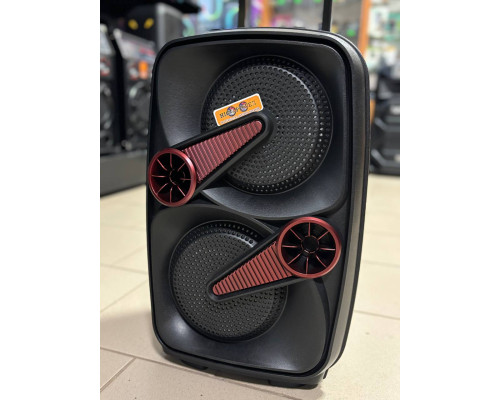 Портативна акустика з дротовим мікрофоном Hi-Fi CH-8805 