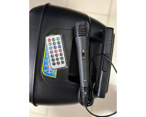 Портативна акустика з дротовим мікрофоном Hi-Fi CH-8805 