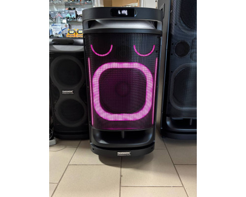 Акустична система, портативна музична колонка Temeisheng SK-900D