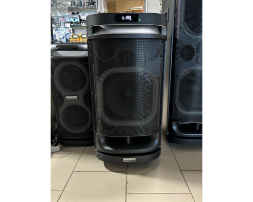 Акустична система, портативна музична колонка Temeisheng SK-900D