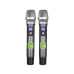 Комплект бездротових мікрофонів Temeisheng LD-952