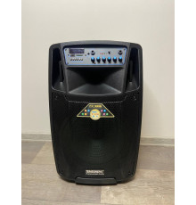 Temeisheng SL1201 акумуляторна bluetooth колонка з мікрофонами