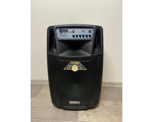 Temeisheng SL1201 акумуляторна bluetooth колонка з мікрофонами