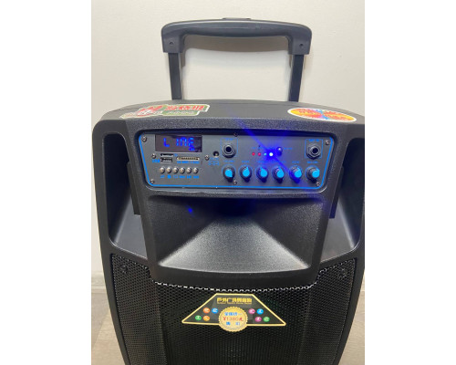 Temeisheng SL1201 акумуляторна bluetooth колонка з мікрофонами