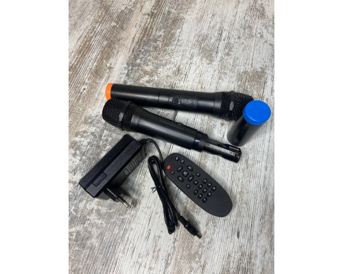 Temeisheng SL1201 акумуляторна bluetooth колонка з мікрофонами