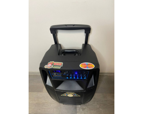 Temeisheng SL1201 акумуляторна bluetooth колонка з мікрофонами