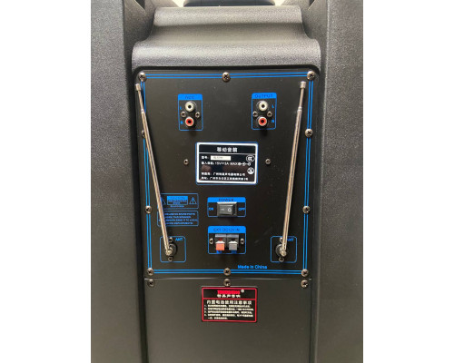 Temeisheng SL1201 акумуляторна bluetooth колонка з мікрофонами